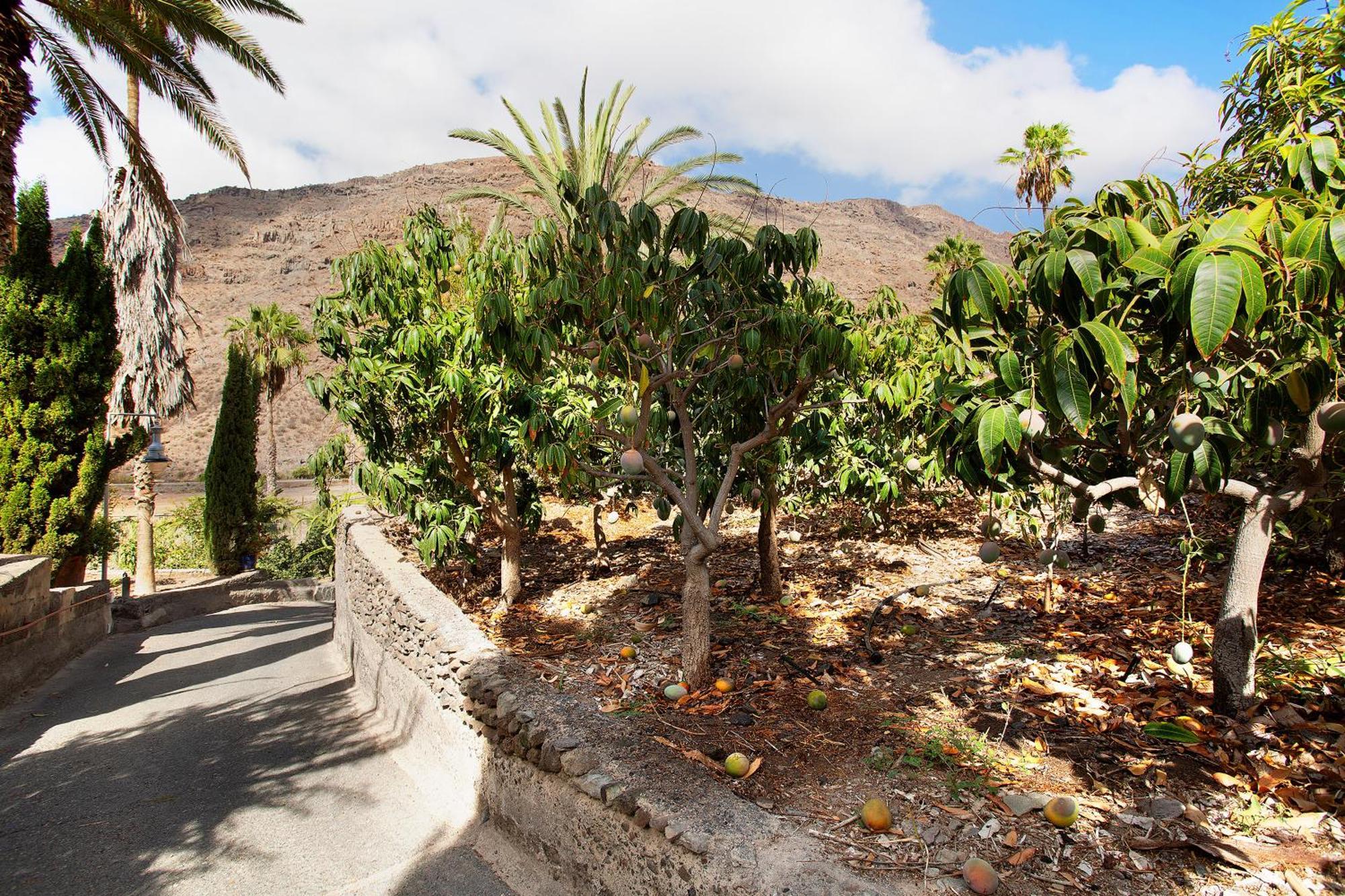 Casa Paraiso Del Molinero Βίλα Mogán Εξωτερικό φωτογραφία